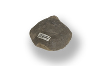 F 09484
<br/>
<br/>
<em></em>